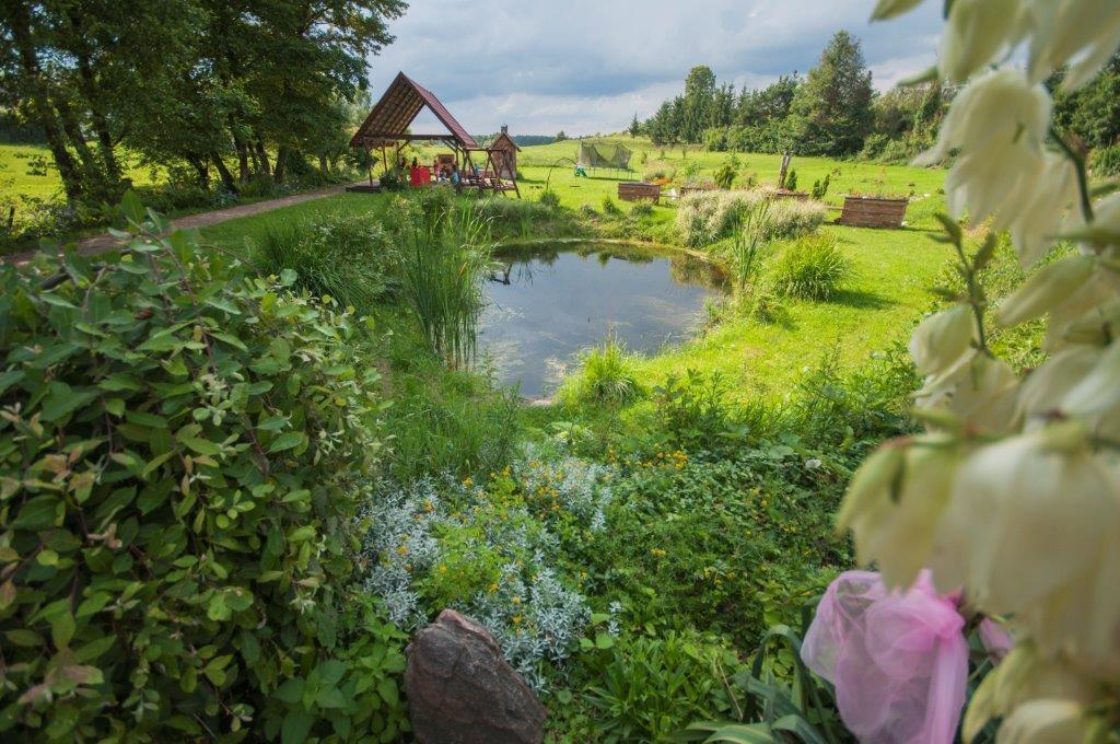 Bed and Breakfast Pensjonat Agroturystyczny Pod Modrzewiem Florczaki Екстер'єр фото